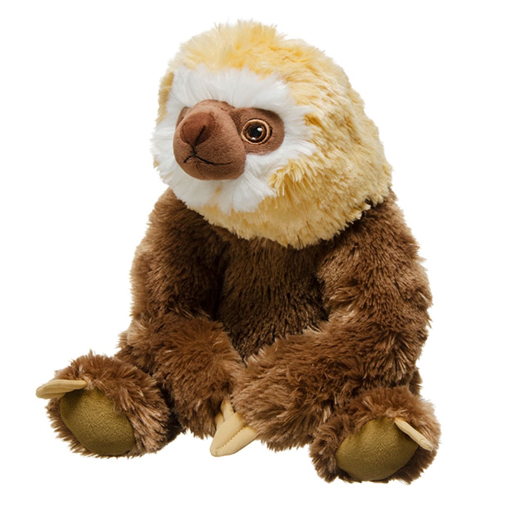 Two-Toed Sloth