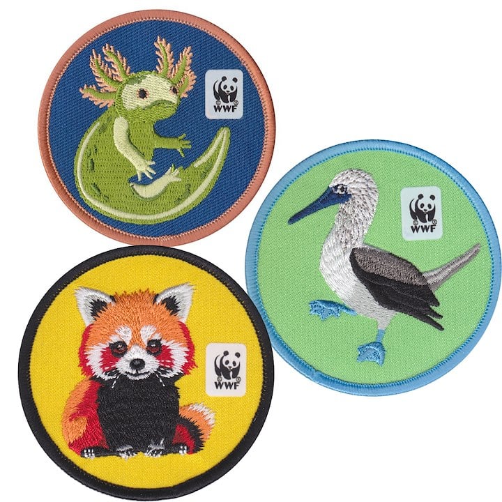 axolotl, blue-footed booby, and red panda patches
