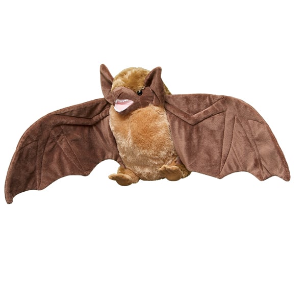 Vampire Bat