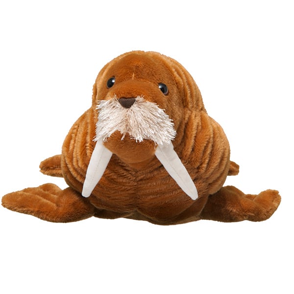 Walrus shops stuffed animal