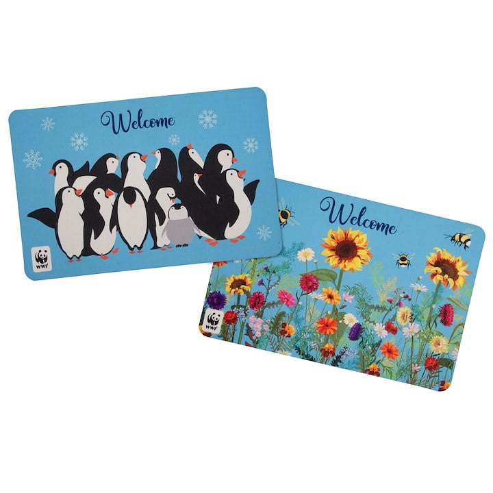 Welcome Mats (Set of 2)