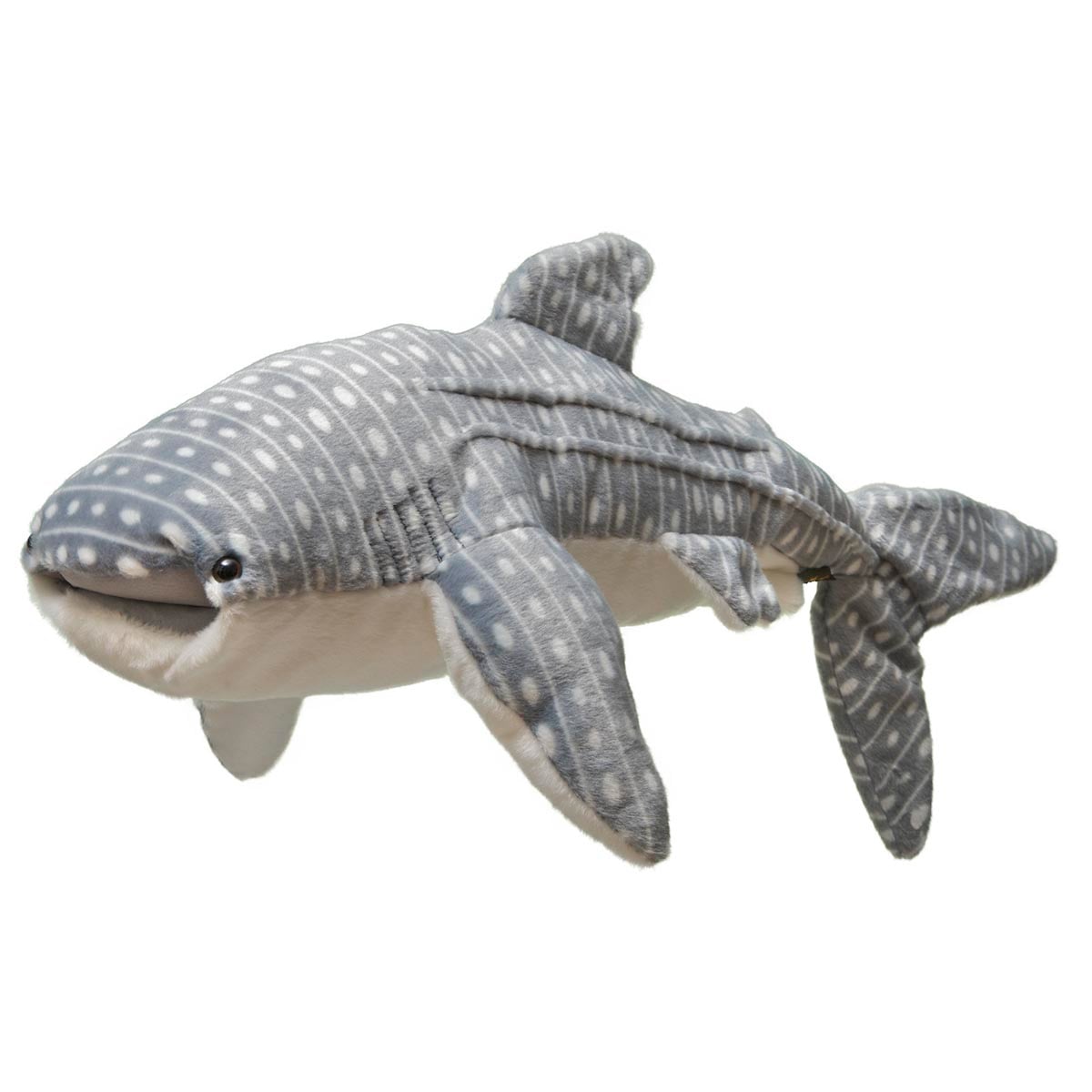 Whale Shark